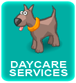 button-daycare.png